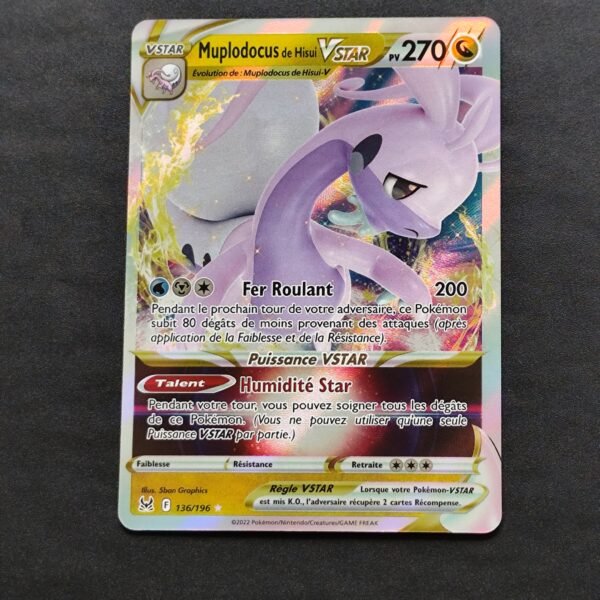 Muplodocus 136/196 Origine perdue