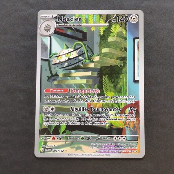 Noacier 209/182 Faille Paradoxe