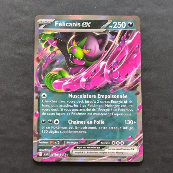 Felicanis 036/064 Fable Nébuleuse